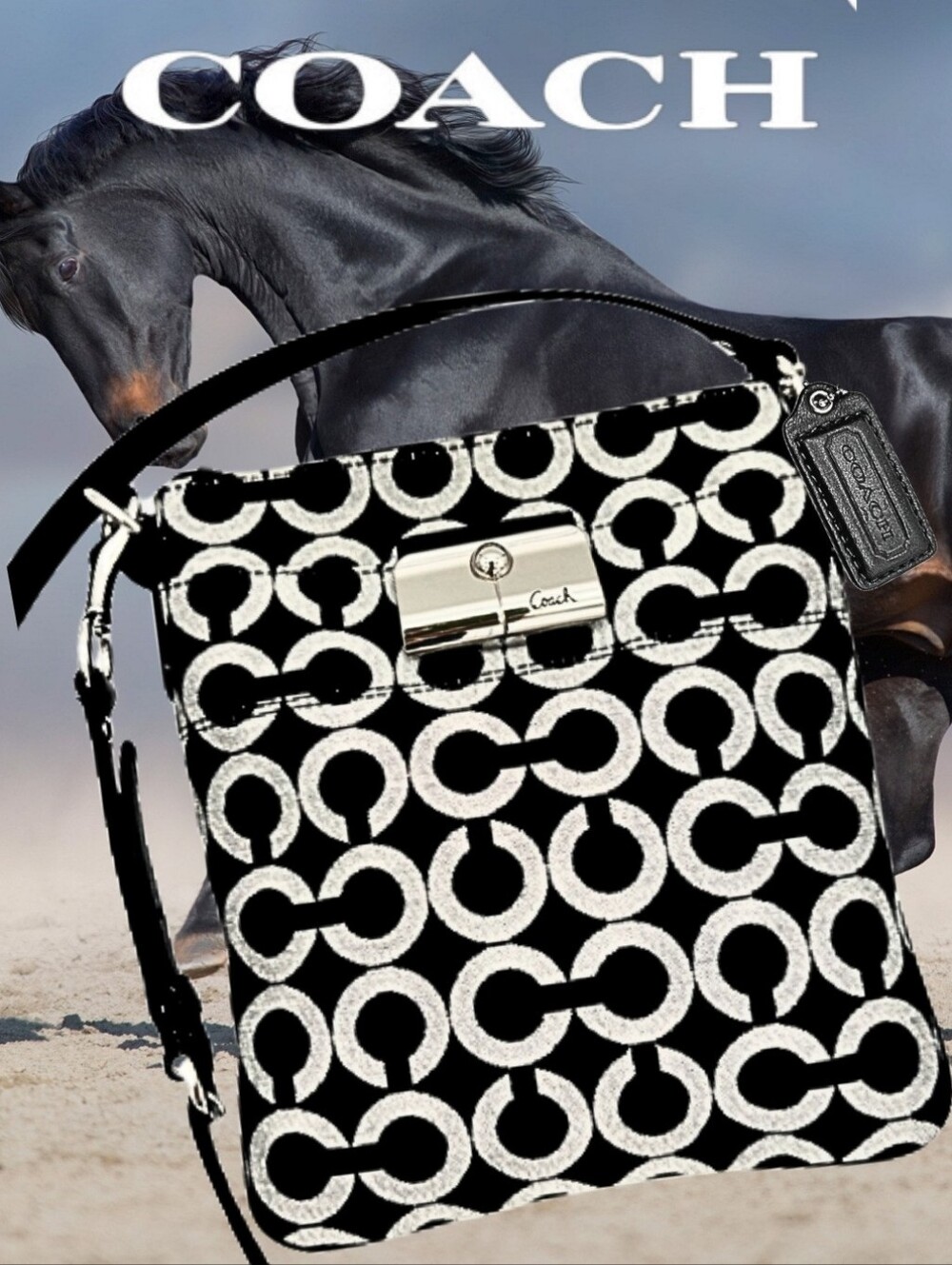 Coach Kristin Signature Logo Graphic Art Black Silver White Crossbody